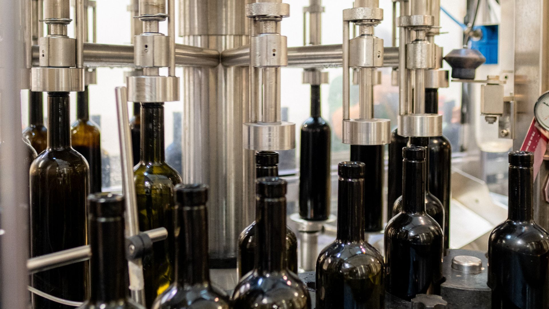 Embotellado de vinos elaborados en bodega Sa Cabana