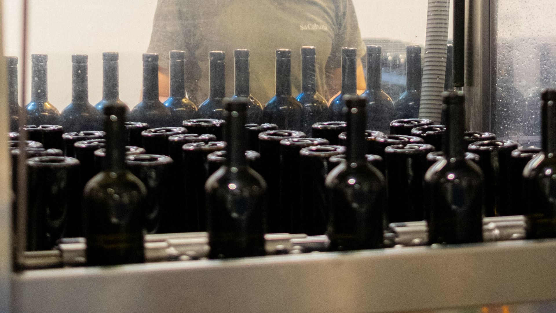 Momento del embotellado en la bodega en la finca Sa Cabana
