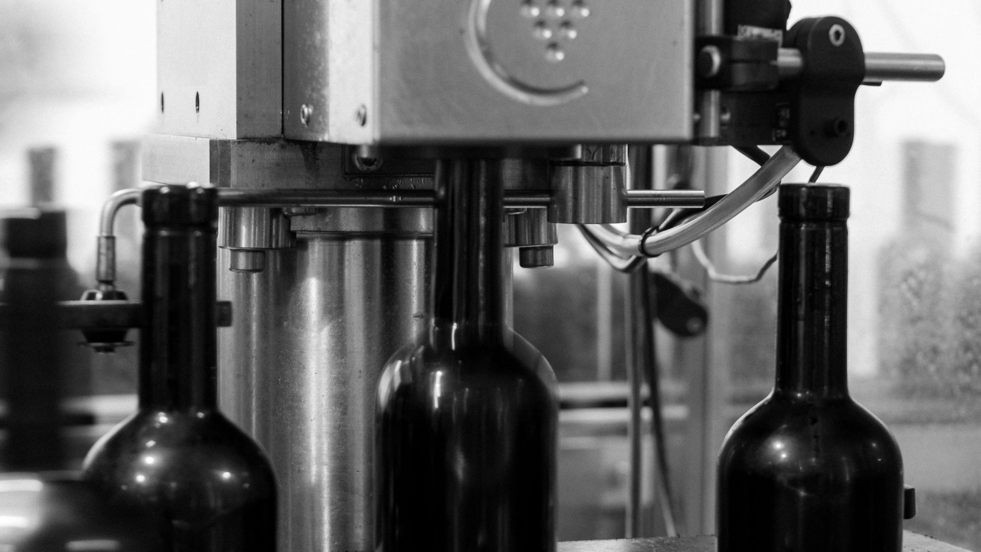 Maquinaria trabajando el embotellado en la nueva finca de Sa Cabana