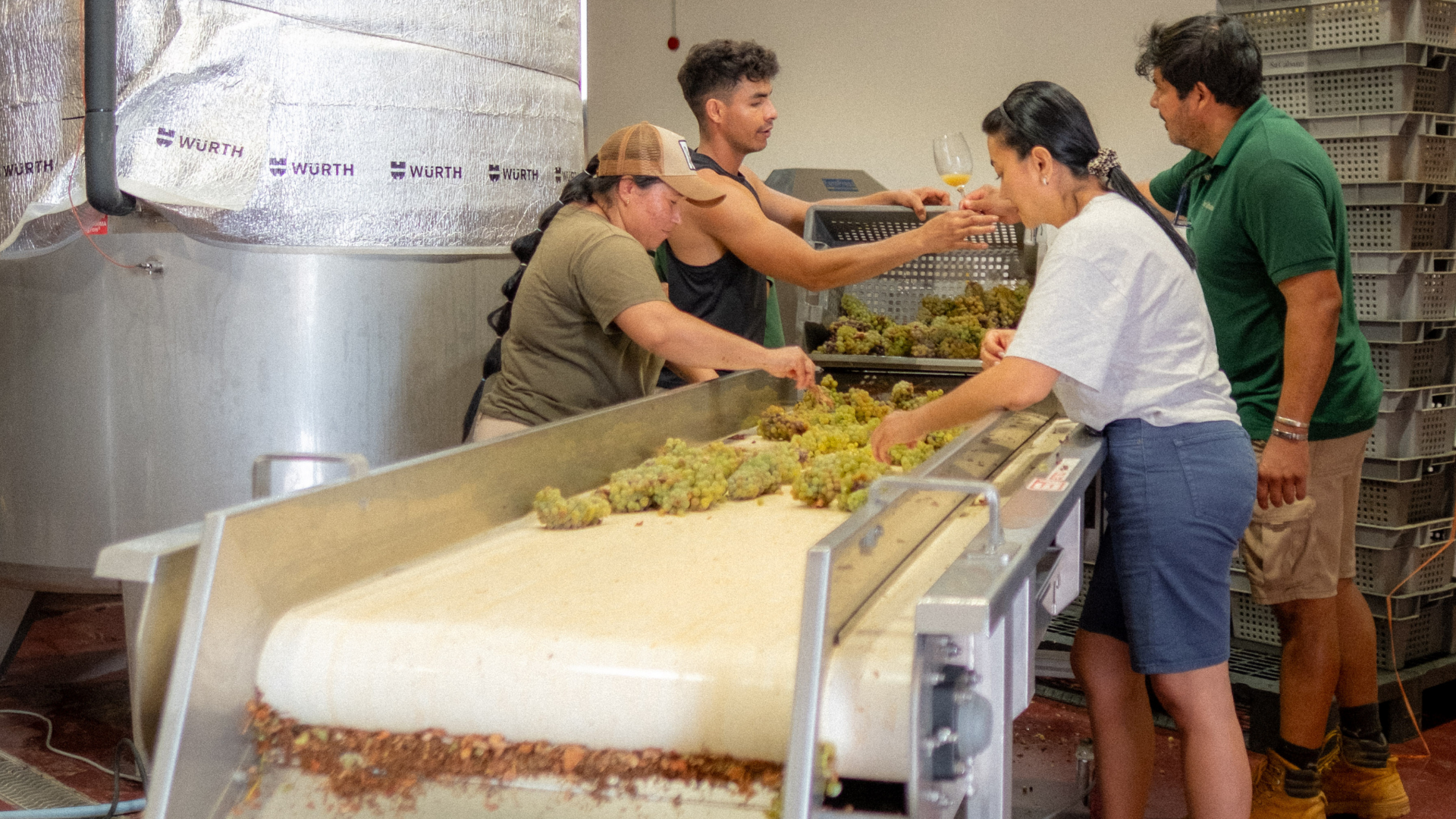 Maquinaria especializada en la nueva bodega en la finca Sa Cabana