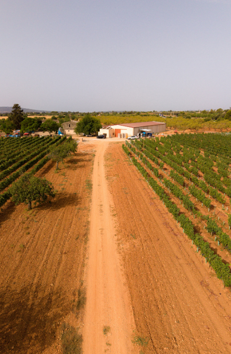 Toma aérea de Bodega Sa Cabana