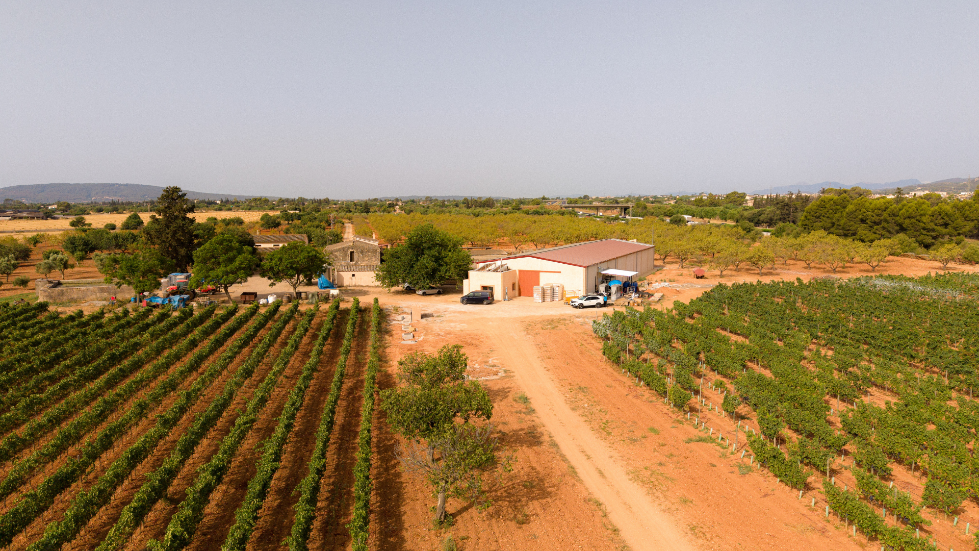 Toma aérea de Bodega Sa Cabana